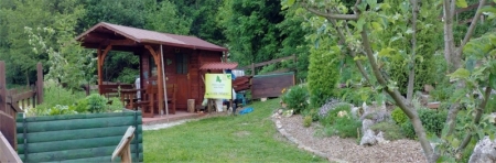 Društvo za zdravilne rastline Zasavje – zgodba znanja, skupnosti in trajnosti